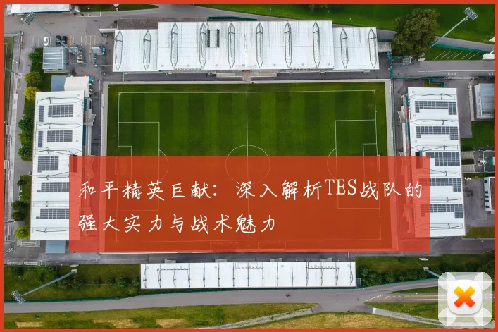 和平精英巨献：深入解析TES战队的强大实力与战术魅力