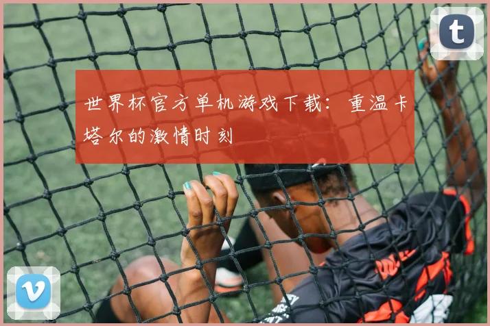 世界杯官方单机游戏下载:重温卡塔尔的激情时刻