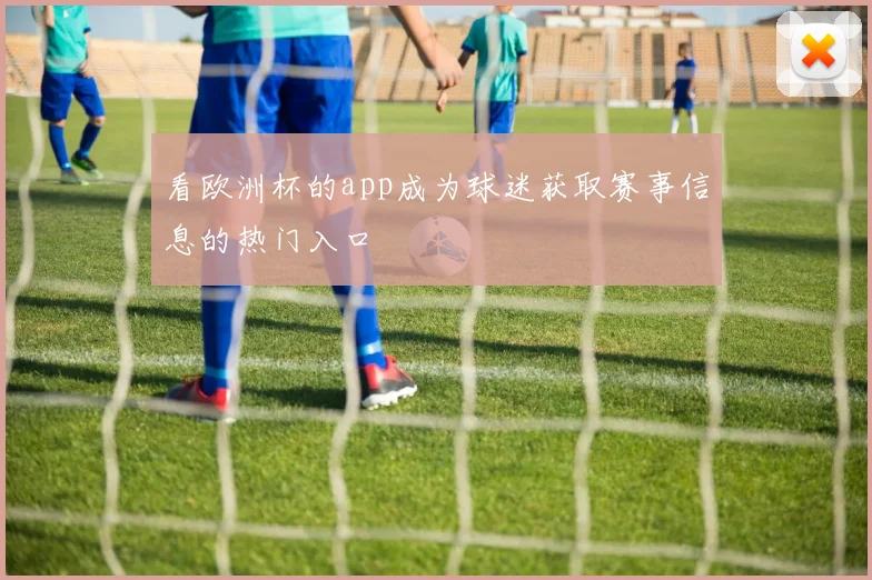 看欧洲杯的app成为球迷获取赛事信息的热门入口