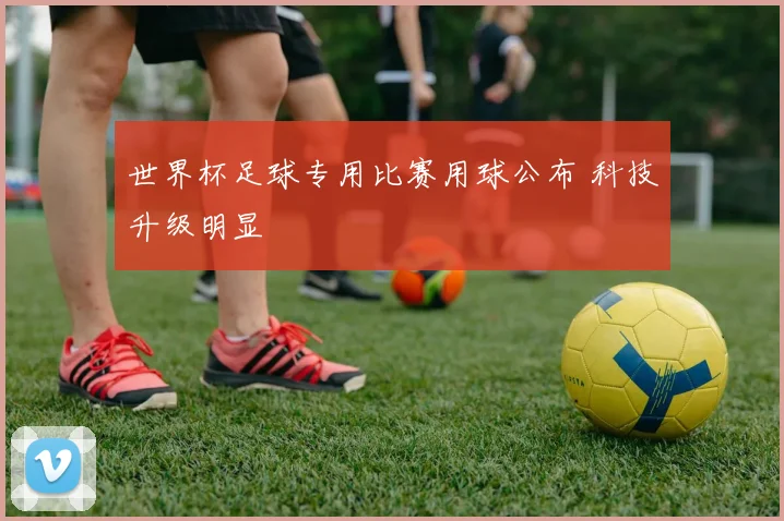 世界杯足球专用比赛用球公布 科技升级明显