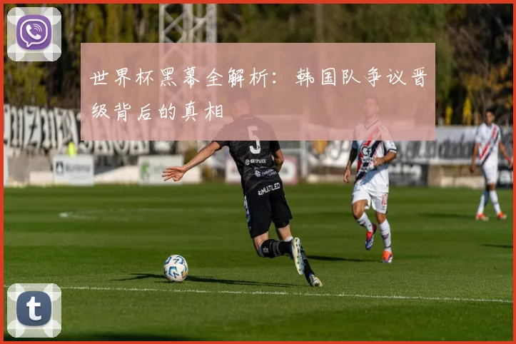 世界杯黑幕全解析：韩国队争议晋级背后的真相