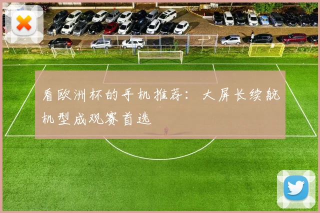 看欧洲杯的手机推荐：大屏长续航机型成观赛首选