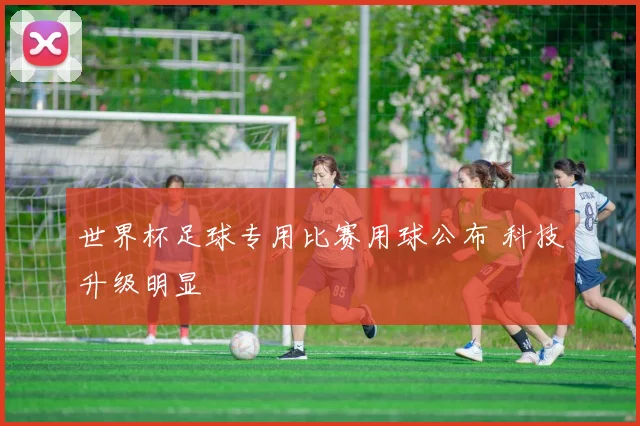 世界杯足球专用比赛用球公布 科技升级明显