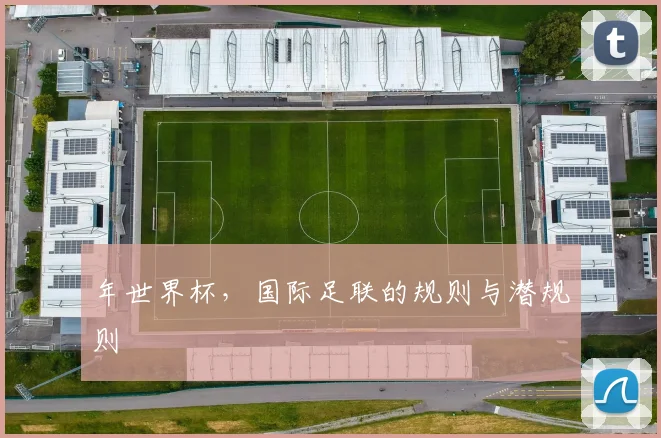 年世界杯，国际足联的规则与潜规则