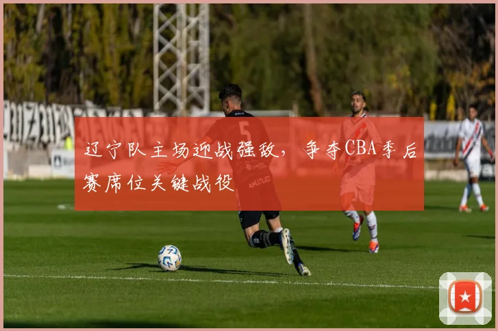 辽宁队主场迎战强敌，争夺CBA季后赛席位关键战役