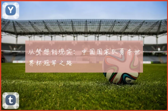 从梦想到现实：中国国家队勇夺世界杯冠军之路