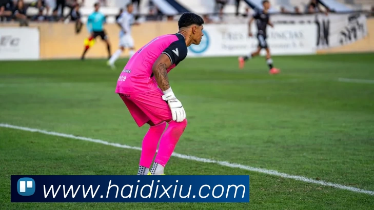 爱游戏官网服务体系